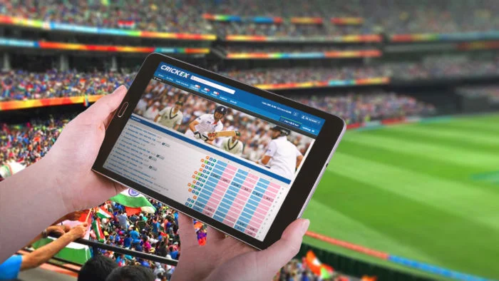 How to Read Live Odds in Cricket Betting